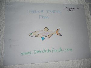 Swedish Freak Fish