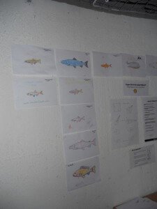fish wall
