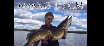 giant-fish-norrland