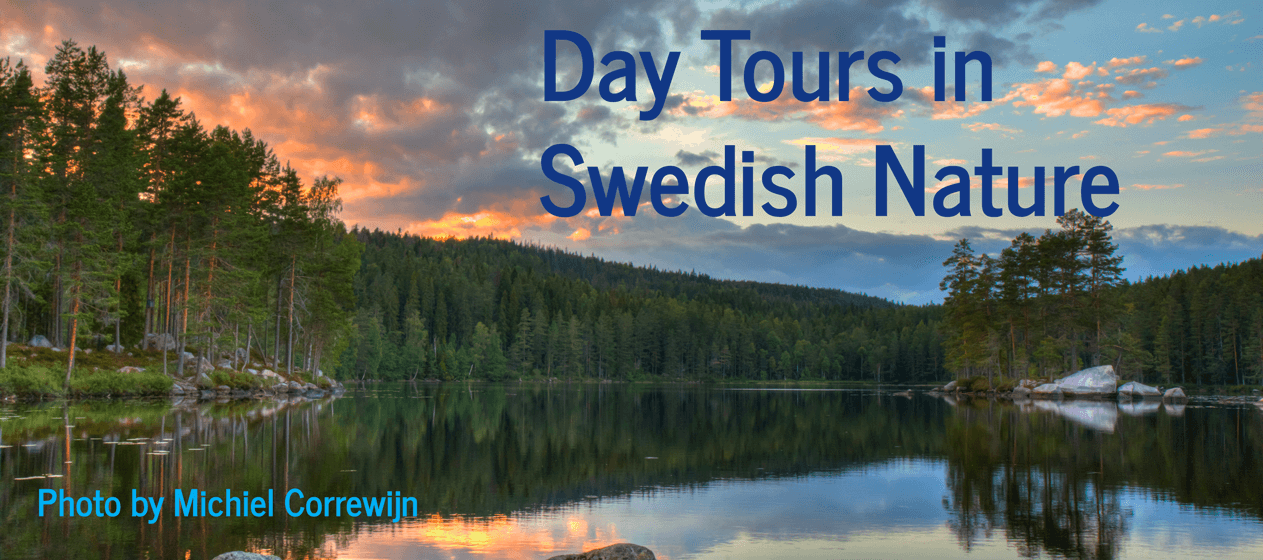 sweden day tours